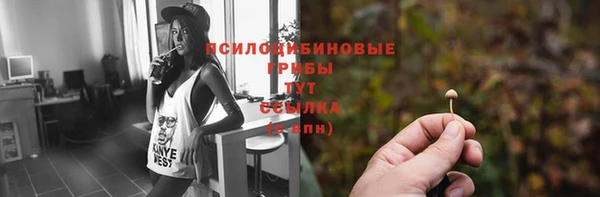 mdpv Корсаков