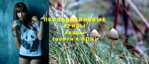 apvp Козельск