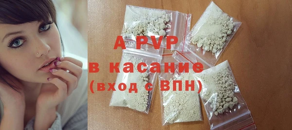 прущие грибы Коряжма