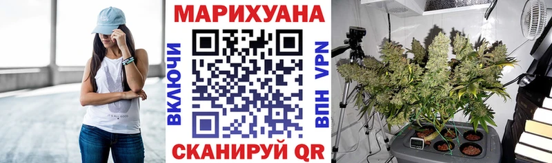 Конопля планчик  omg как войти  Ковдор  купить наркотики сайты 